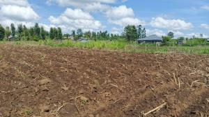 Land for sale Njoro Nakuru