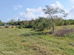 Land for sale Lunga Lunga Kwale