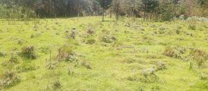 Land for sale Karen Nairobi