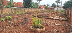 Land for sale Kira road  Kampala Central Kampala Central