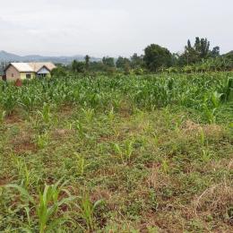 Land for sale Busunjju mityana road  Nabweru Wakiso Central