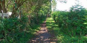 Land for sale Migori Migori