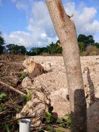 Land for sale Ndonya Mtwapa Kilifi South Kilifi