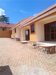1 bedroom mini flat  Bungalow Apartment for rent Kireka road Wakiso Central