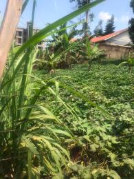 Land for sale Nebalamye mayanja road- Seguku katale  Ssabagado-Makindye Wakiso Central