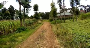 Land for sale Tigoni Limuru