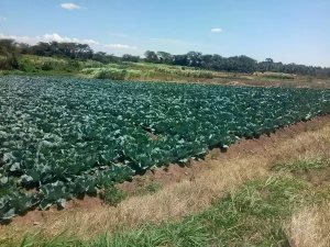 Land for sale Narumoru, Nyeri Nyeri