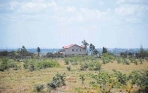 Land for sale Ruiru Kiambu