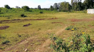 Land for sale Kenol Muranga