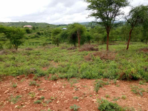 Land for sale Sagana, Kirinyaga Central Kirinyaga