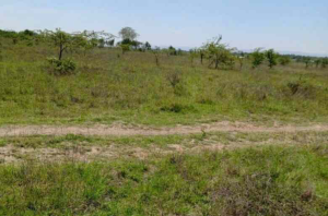 Land for sale Kangundo Road Kangundo