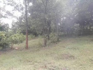 Land for sale Kenol Muranga
