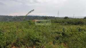 Land for sale kisumu Central Kisumu