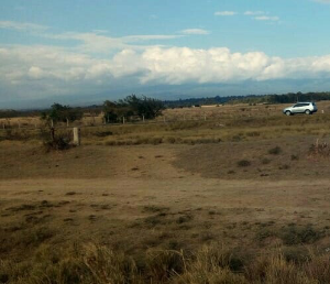 Land for sale Naivasha East Nakuru
