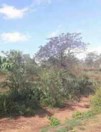 Land for sale Kitui Central Kitui