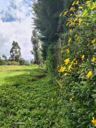 Land for sale Nyeri Town Nyeri