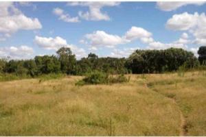 Land for sale Nyeri Nyeri