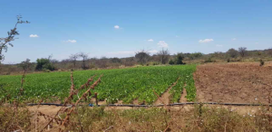 Land for sale Matuu Machakos