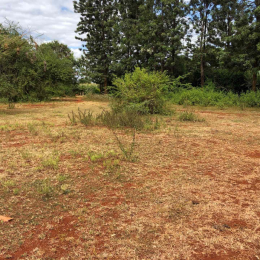Land for sale Mwea Kirinyaga