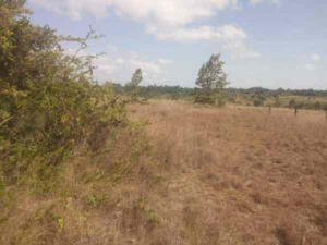 Land for sale Ongata Rongai Kajiado