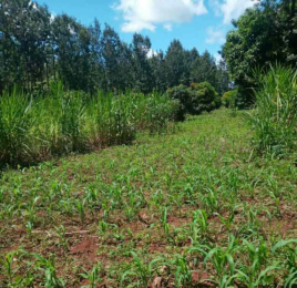 Land for sale Kenol Muranga