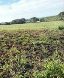 Land for sale Molo Nakuru