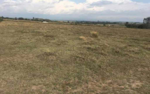 Land for sale Nanyuki Nanyuki