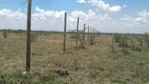 Land for sale Juja Kiambu