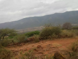 Land for sale Ngong Kajiado
