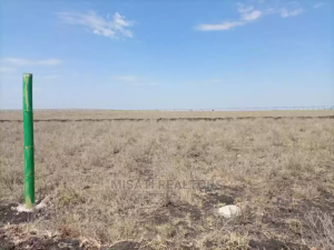 Land for sale Konza Machakos