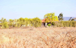 Land for sale Komarock Nairobi