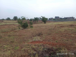 Land for sale Ruiru Kiambu