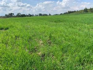 Land for sale Laikipia Laikipia