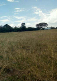 Land for sale Nanyuki Nanyuki