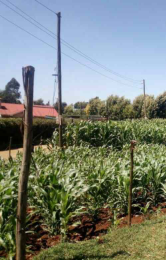 Land for sale Tigoni Limuru