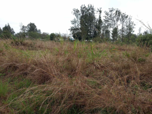 Land for sale Kenol Muranga