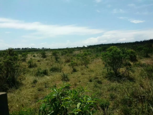 Land for sale Gilgil Nakuru