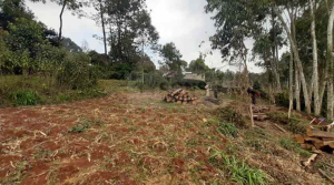 Land for sale Tigoni Limuru