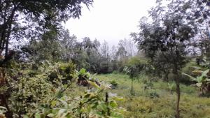 Land for rent Langata Nairobi