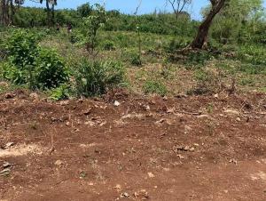 Land for sale Diani Mombasa