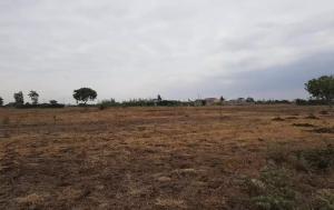Land for sale Kamakis Ruiru