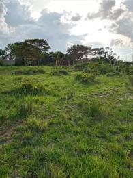 Land for sale Kamakis Ruiru