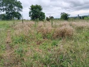 Land for sale Kampala Central Kampala Central