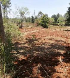 Land for sale Mangu Juja
