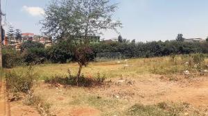 Land for sale Thika Kiambu
