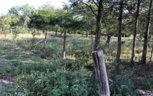 Land for sale Kisaju Kitengela