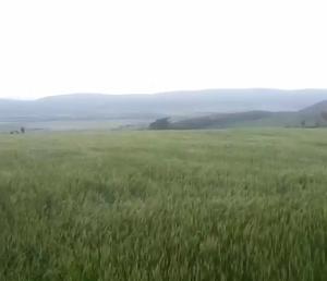 Land for sale Narok Narok