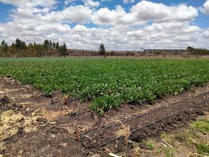 Land for sale Kisaju Kitengela