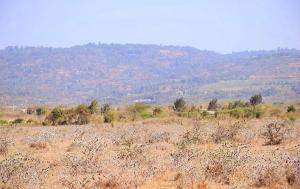 Land for sale Kamakis Ruiru