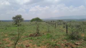 Land for sale Ngong Kajiado
